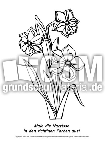 Frühlingsblüher-Ausmalbilder 11.pdf